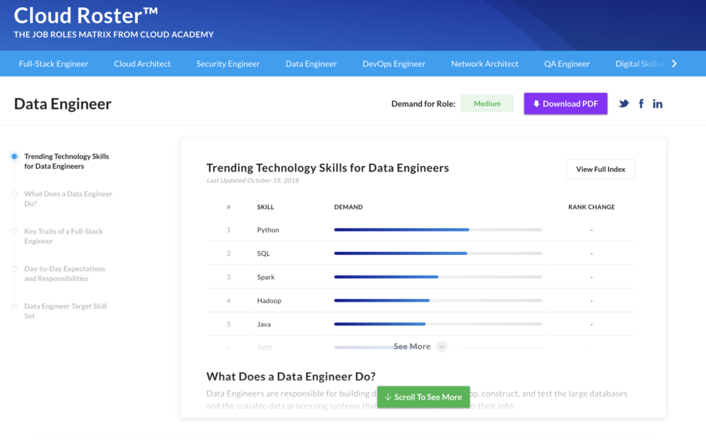 Cloud Roster job role profile for Data Engineers